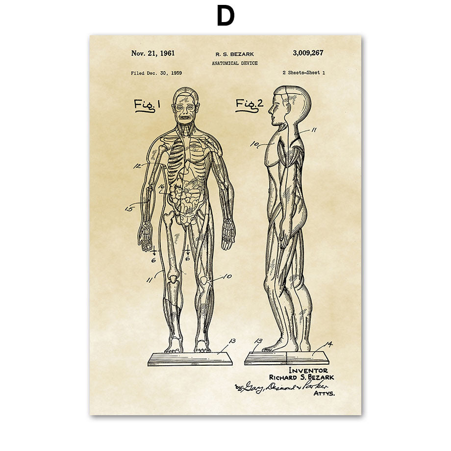 Medical Human Anatomy Musculoskeletal Vintage Art Canvas Painting