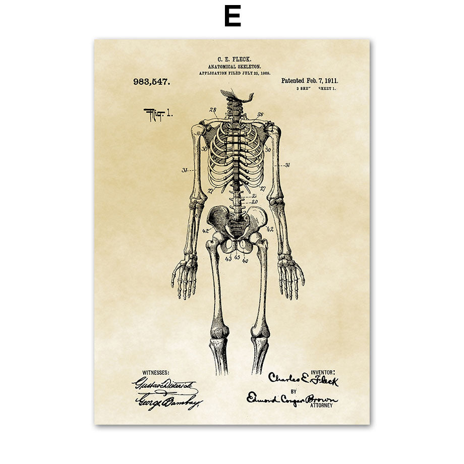 Medical Human Anatomy Musculoskeletal Vintage Art Canvas Painting