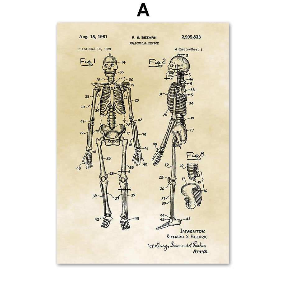 Medical Human Anatomy Musculoskeletal Vintage Art Canvas Painting