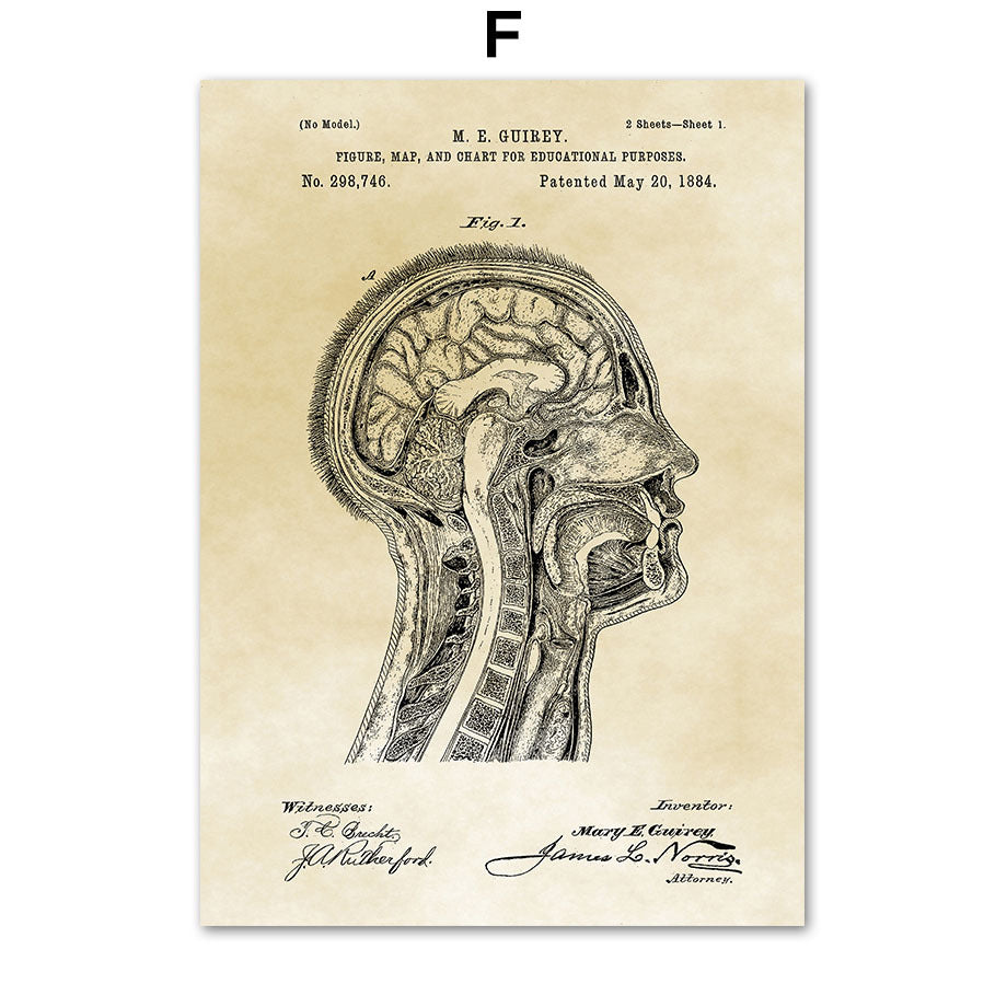 Medical Human Anatomy Musculoskeletal Vintage Art Canvas Painting